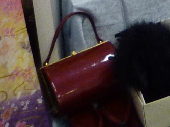 bag