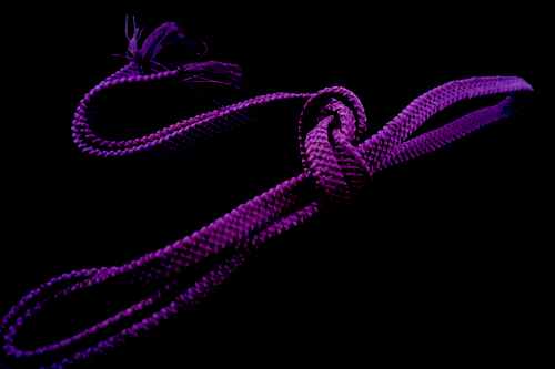 【帯締め３本セット】　濃紫